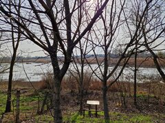 Roman  -Trifesti -Teren -  iesire la lac - livada pe rod